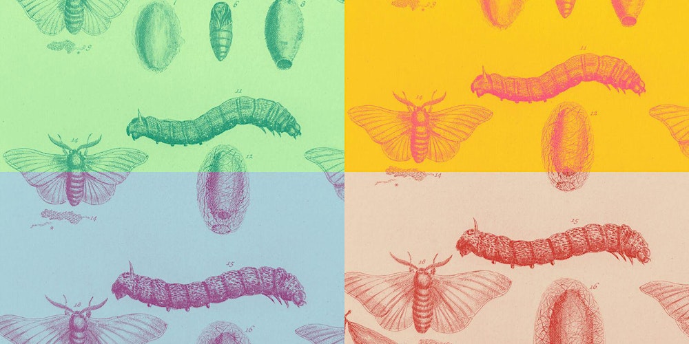 Creative making: Inspired by nature