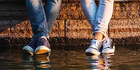 The Ducky by D C Jackson