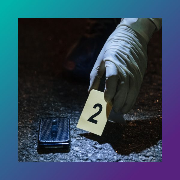 Interpreting the invisible: The digital evidence challenge