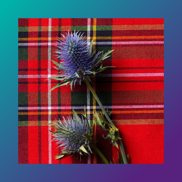 Gaelic workshop: History, language, and culture