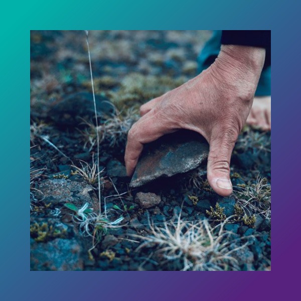 Expressing the Earth: A haiku poetry workshop