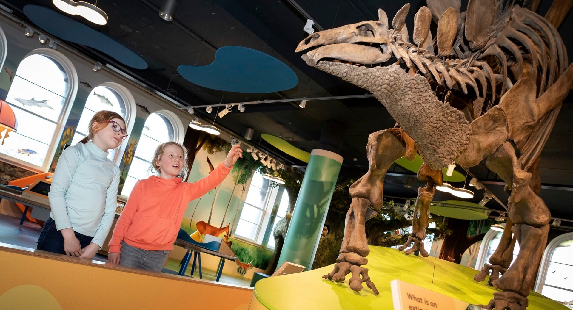 Curiosity Club (Times TBC)