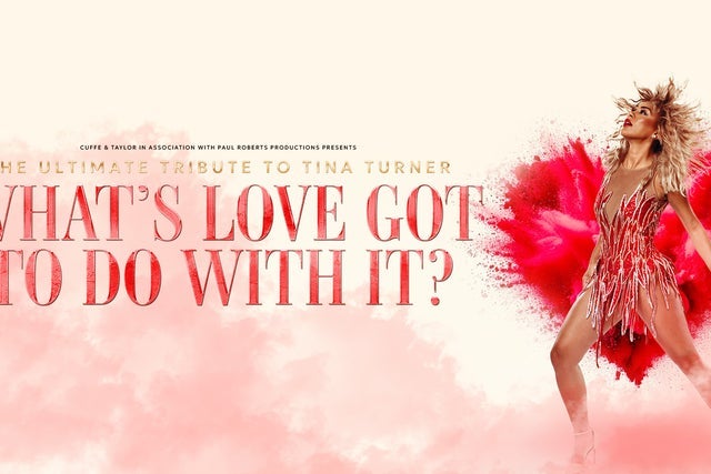 What's Love Got to do With it - Tina Turner Tribute