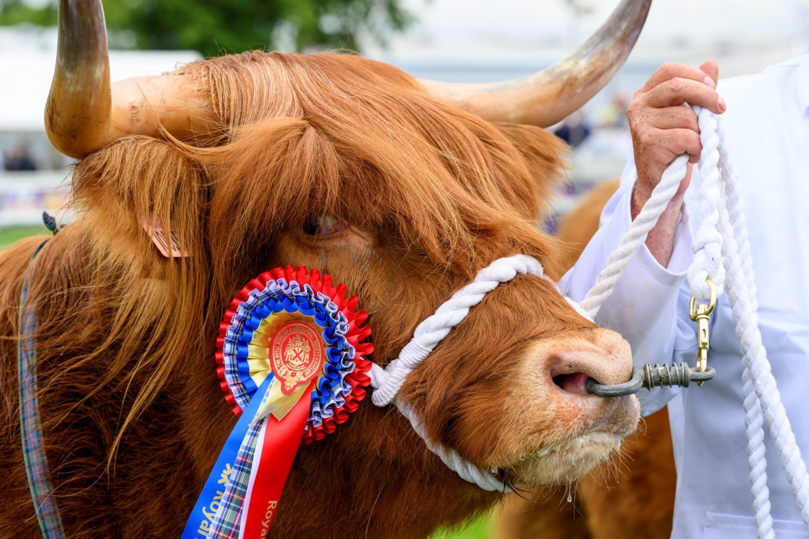 The Royal Highland Show (Times TBC)