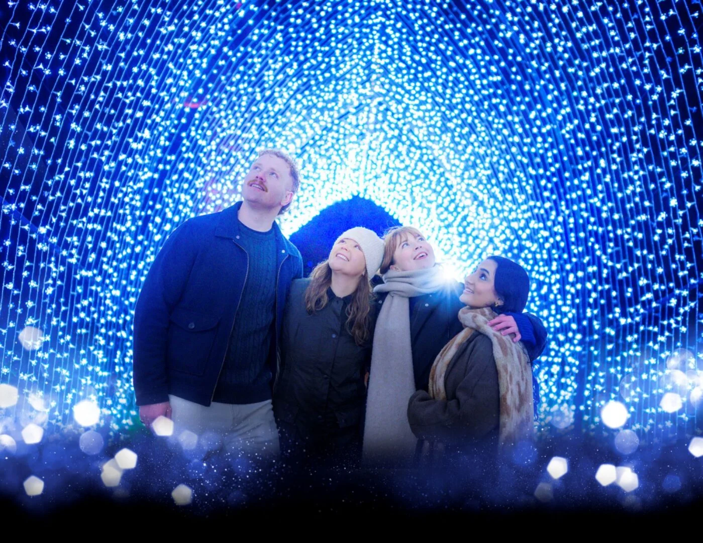 Christmas at the Botanics